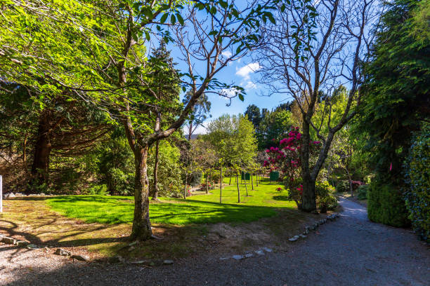 Upper Hutt, New Zealand - November 12, 2023: A shaded garden path meanders through lush greenery, leading to a sunlit orchard surrounded by vibrant foliage at Aston Norwood Garden Centre & Nursery in Wellington, New Zealand