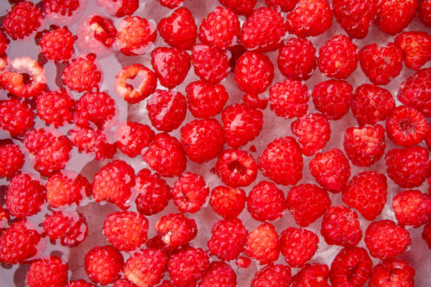 Macro photo of three Raspberries showing perfectly each detail till a little hair of raspberry.  \nFresh from local market or picked in nature , they are tasting just fantastic.
