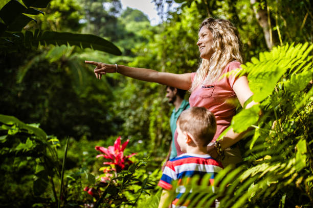 istock Take a look at that part of the jungle! 2171447820