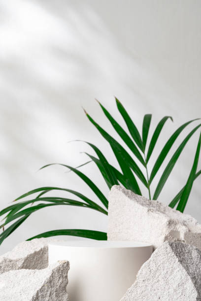 istock A minimalistic display featuring a round pedestal surrounded by textured rock and tropical plants in a softly lit setting 2171449795