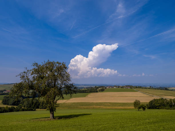 Serene view of a rural landscape in the Mostviertel, featuring lush green fields and a striking cloud against the blue sky, evoking tranquility and nature's beauty.