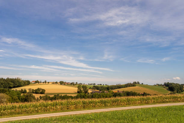 Serene view of a rural landscape featuring lush green fields and a striking cloud against the blue sky, evoking tranquility and nature's beauty.