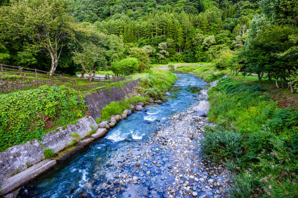 Peaceful river flowing through a green valley surrounded by trees, rocks, and lush vegetation