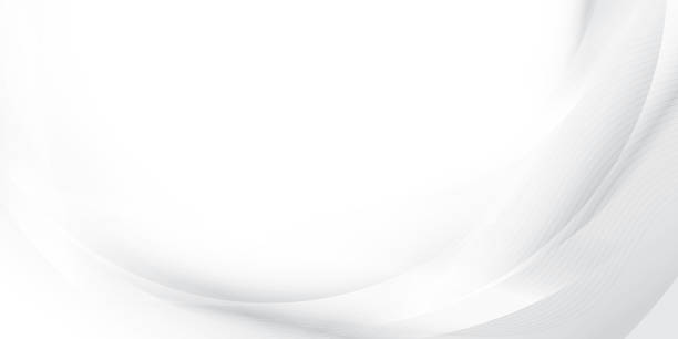 istock Abstract  white and gray color, modern design stripes background with curve lines, wavy pattern. Vector illustration. 2171457344