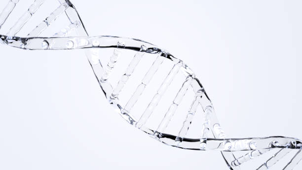 Dna. Nucleic acid double helix. Abstract glass. Isolated.