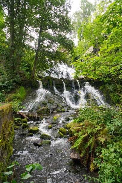 istock Small river in Sweden with several small waterfalls. Moss-covered stones. Forest 2171463713