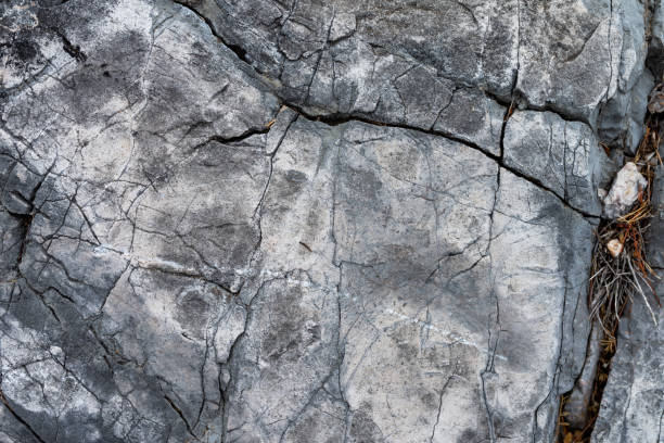istock Stone texture. Gray natural rock. Perfect for background. 2171468431