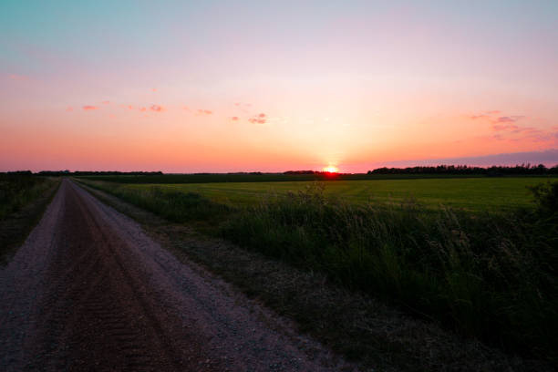 istock A road during spring time. Summer landscape, sunset with green grass, road and clouds 2171468705