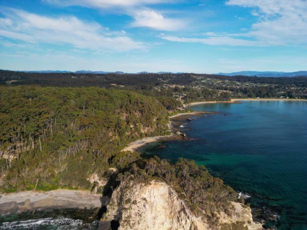 istock Aerial view of coastal landscape with forest and cliffs. 2171470475