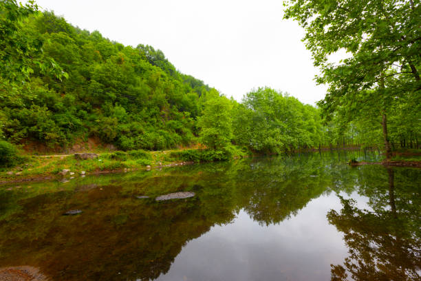 Erikli lake and forest in Yalova.