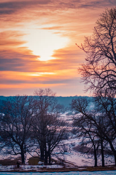 istock Sunset Over Snowy Landscape With Bare Trees in Winter Scenery. 2171472644