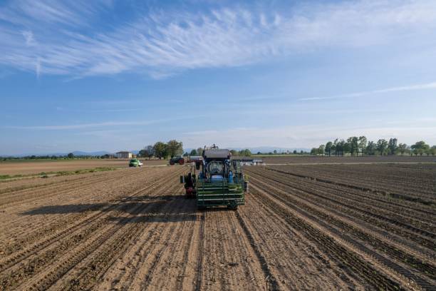 istock Tractor working in an agricultural field under a blue sky 2171478990