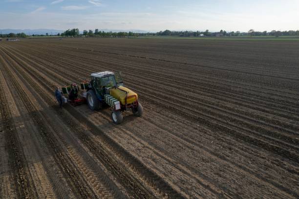 istock Tractor working in a vast agricultural field. 2171479039