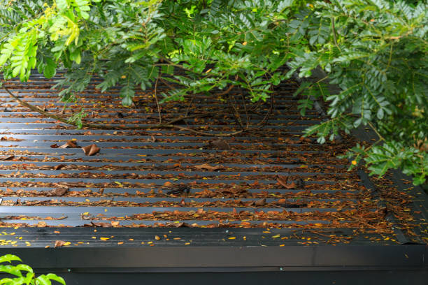 Dry leaves on a metal sheet roof