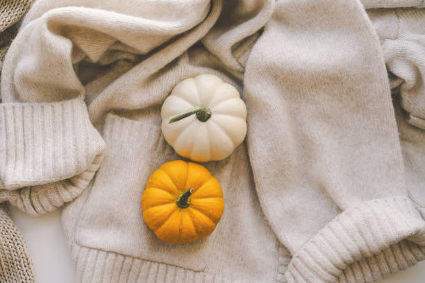 istock Two small pumpkins resting on a cozy beige sweater create a warm autumn atmosphere 2171489830
