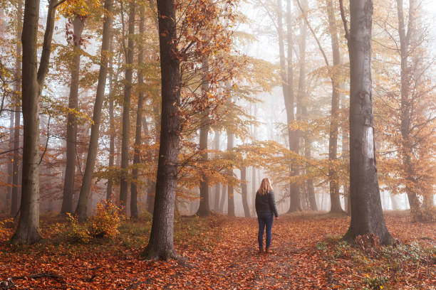 istock Woman walking in autumn misty forest 2171490061