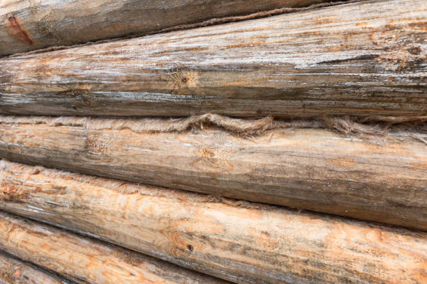 New wooden wall made of uncolored pine tree logs, perspective view, background photo
