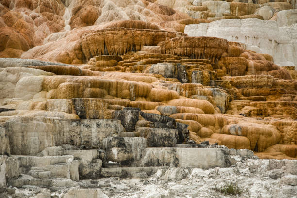 Mammoth, Hot Spring Terraces, Orange Spring Mound in Yellowstone National Park with beautiful landscape. the smell, the colors, the sounds are a natural experience. USA