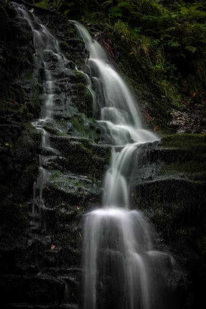 istock Serene waterfall cascading down moss-covered rocks in a lush forest setting 2171494408
