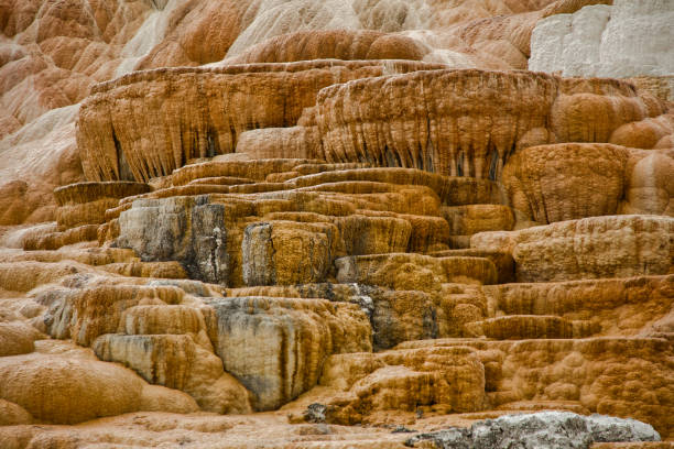 Mammoth, Hot Spring Terraces, Orange Spring Mound in Yellowstone National Park with beautiful landscape. the smell, the colors, the sounds are a natural experience. USA