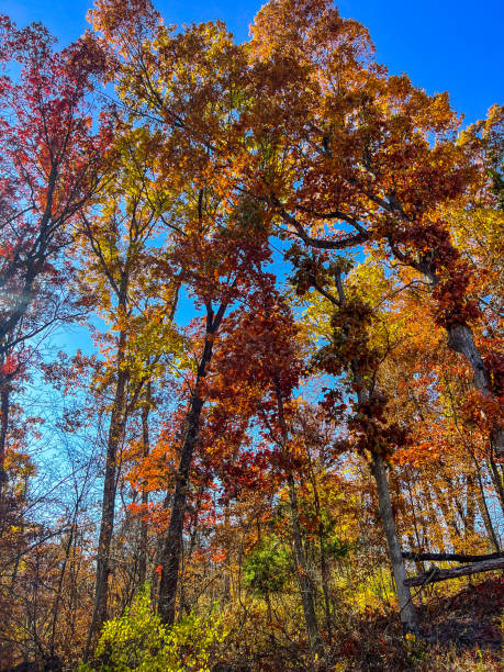 istock Autumn Landscapes 2171497203