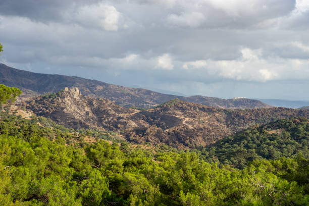 istock Forest Fire Damage. Burned Down Forest in Turkey, Izmir Yamanlar 2171498498