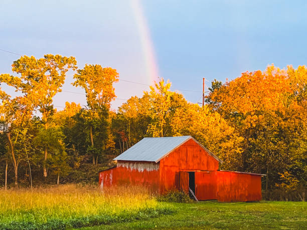 Colorful leaves and skies in a rural area