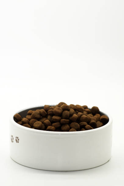 istock Dry dog ​​food isolated on white background 2171505552
