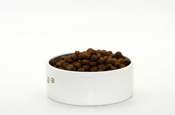 istock Dry dog ​​food isolated on white background 2171505564
