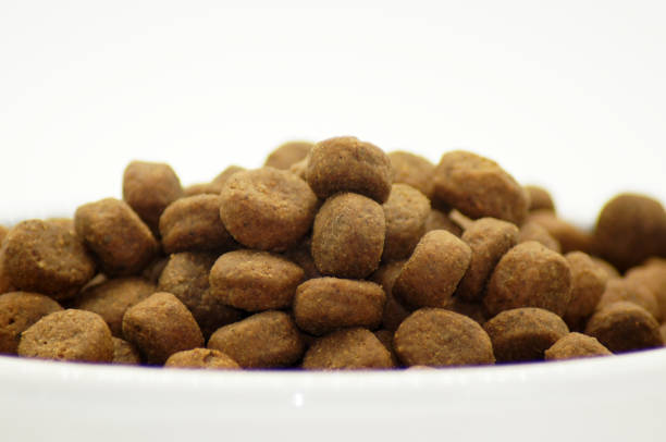 Dry dog ​​food isolated on white background
