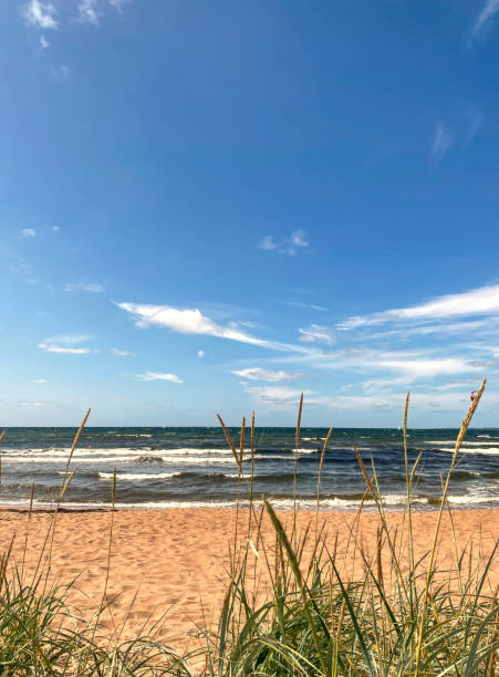 istock Waves crashing on shore on bright day with clear blue sky 2171506133