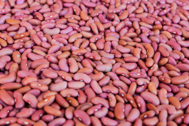 istock Heap of raw shelled dried kidney beans, selective focus 2171507172