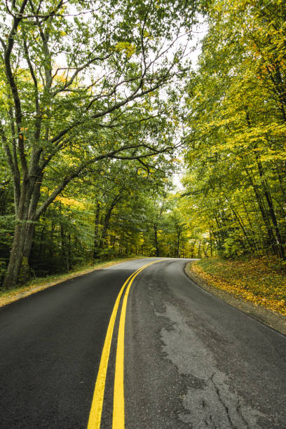 istock autumnal road in new england 2171507341