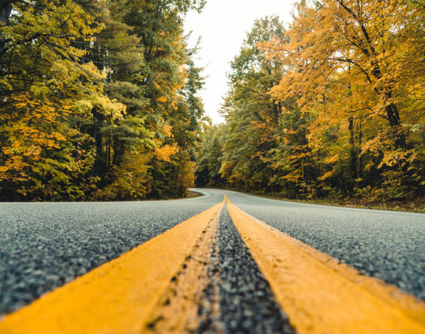 istock autumnal road in new england 2171507416