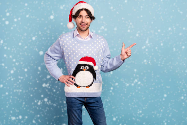 Christmas Ornaments and Skiing Penguin on Bare Tree