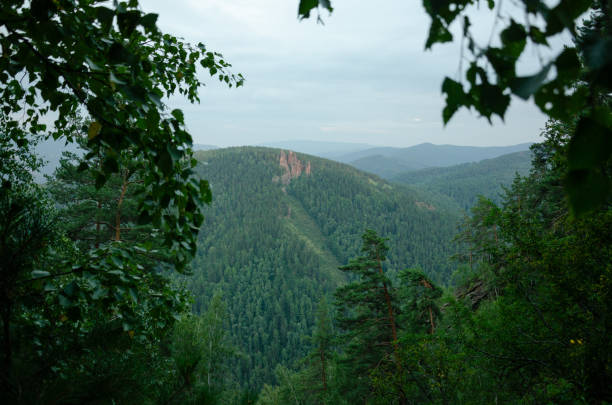 Forest frame on the Mountain light fall on clearing mists at sunset sky background. Hight quality photo of nature.