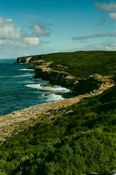The Royal National Park’s Cliff with its blue ocean and deep green bushes
