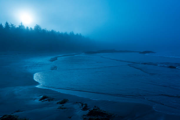 Blue landscape on Chesterman beach in the mist, Tofino, Vancouver Island, British Columbia, Canada.