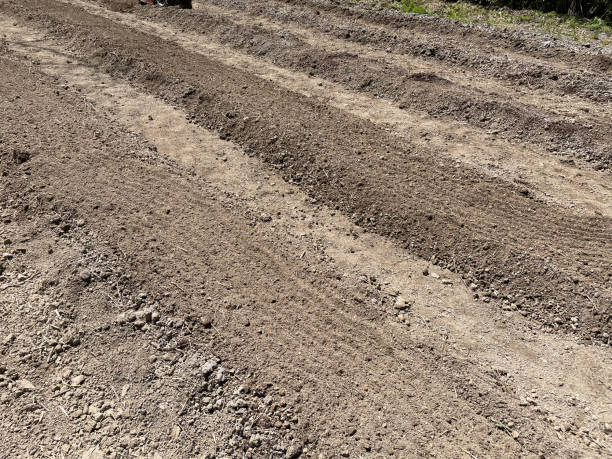 istock Unplowed Farm Bed Ready for Tilling 2171511930