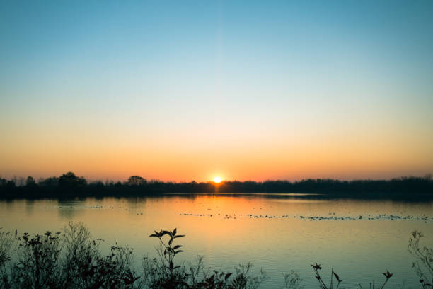 A stunning sunset over a calm lake, with the golden glow of the sun casting reflections on the water and the silhouettes of distant trees creating a serene landscape.