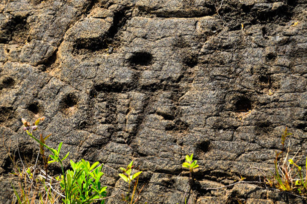 Prehistoric drawings, Oryx gazelle, western coast of Derna, Libya