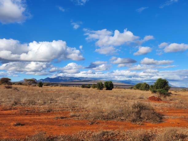 istock Panorama of Meadows and Mountains in Kenya. 2171518161