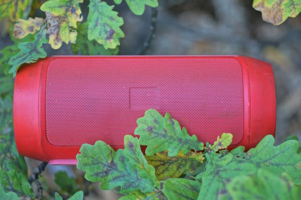 istock one red mobile music speaker lies on a tree branch oak 2171520427