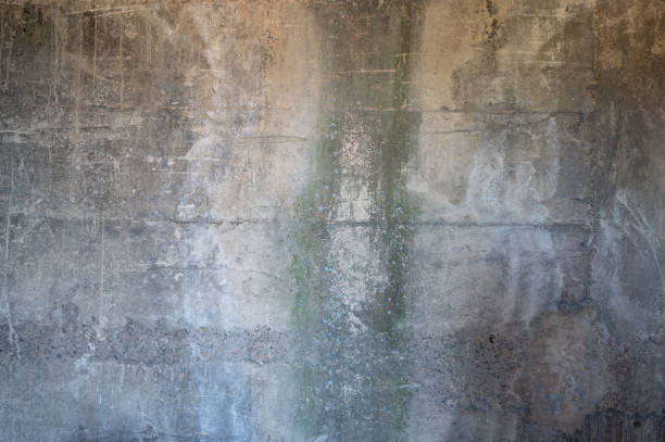 istock Concrete wall with fungus green trace 2171521220