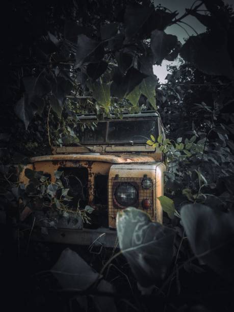 istock Old Abandoned Car Hidden In Bushesi 2171521407
