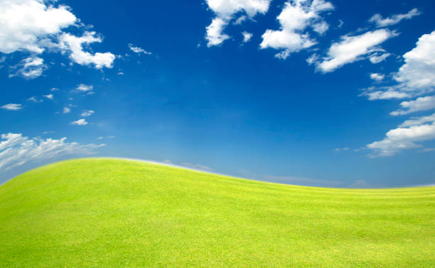 Empty green landscape and clear blue sky