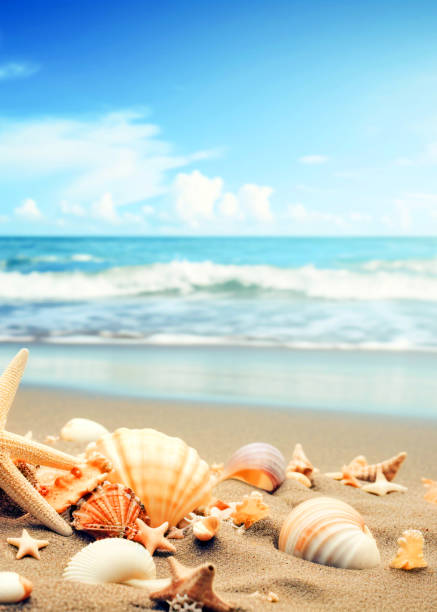 istock Beautiful sea, beach photos 2171523466