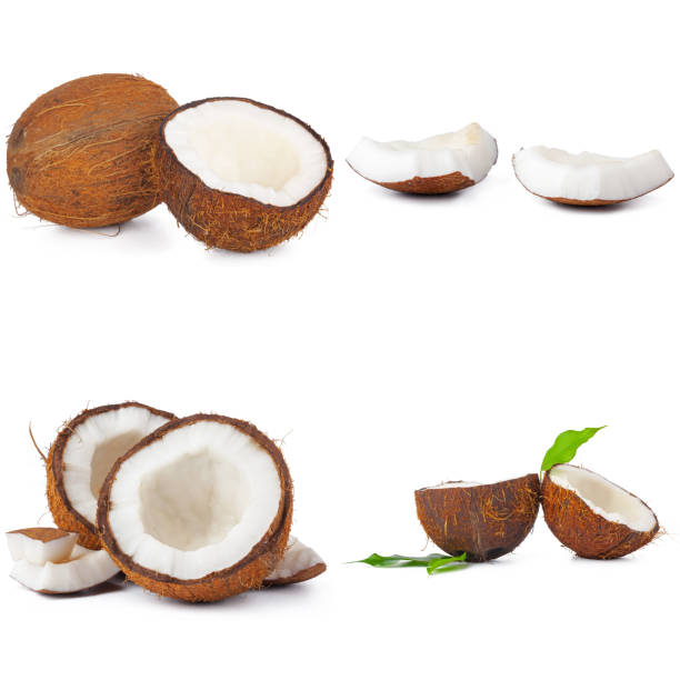 istock Collage of broken coconut pieces isolated on white background 2171525889