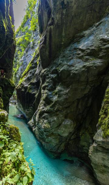 istock Narrow gorge with turquoise water and lush greenery. 2171529299
