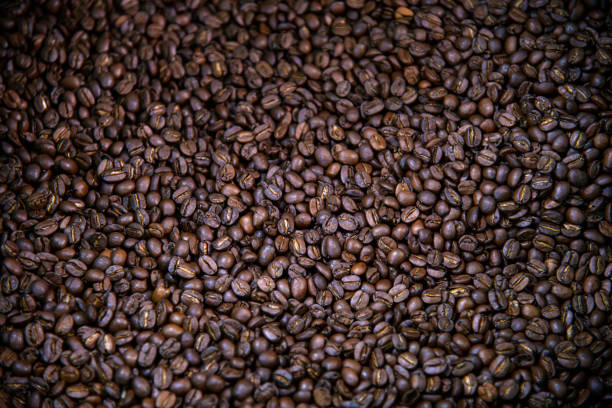 Close-up of roasted Arabica coffee beans